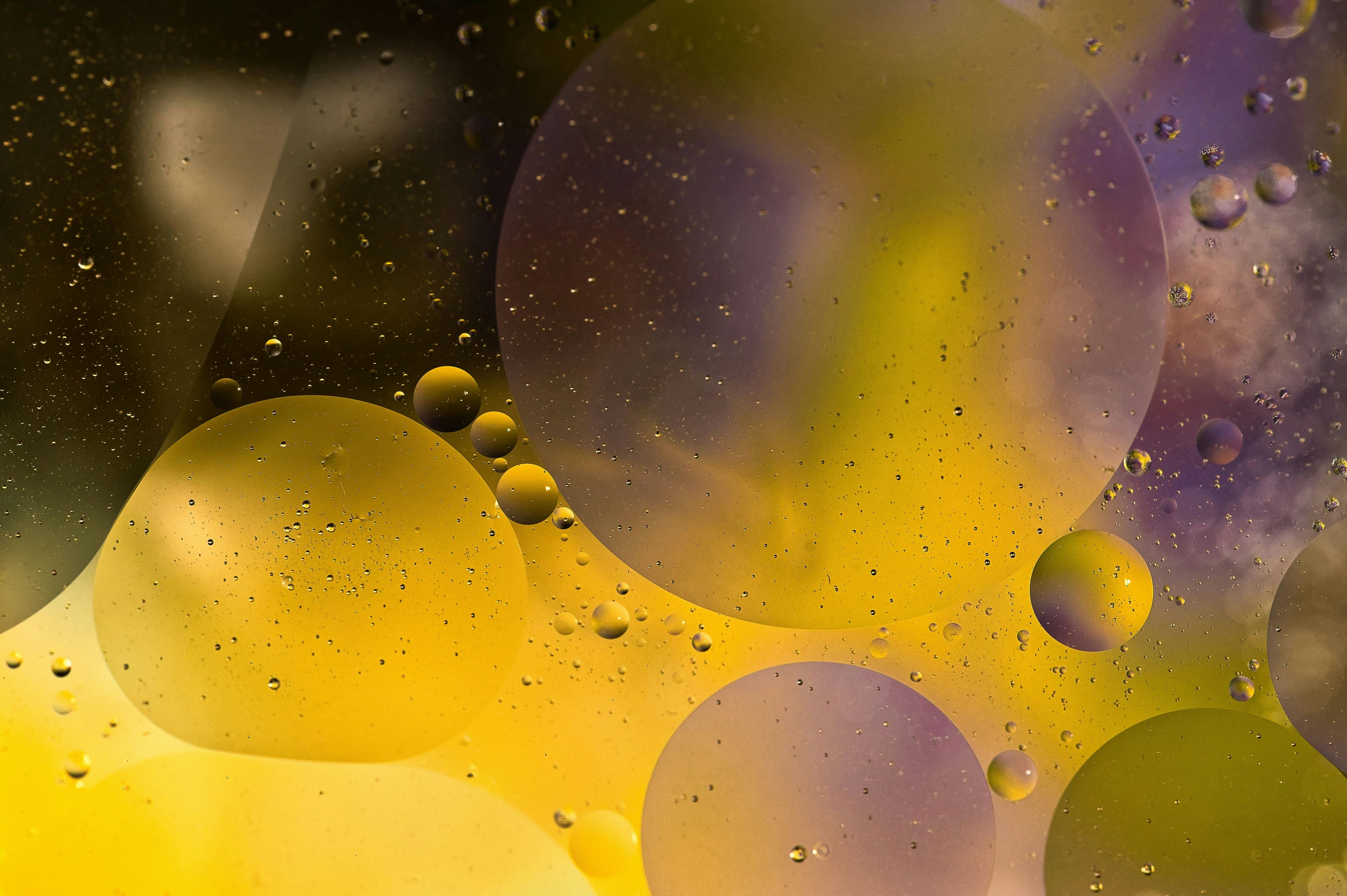 A Beginner's Guide to Cloud Computing